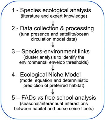 Skipjack Tuna Availability for Purse Seine Fisheries Is Driven by Suitable Feeding Habitat Dynamics in the Atlantic and Indian Oceans